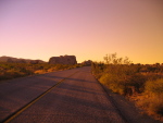 Joshua Tree Park